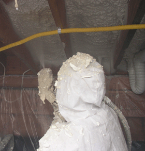 Homestead FL crawl space insulation