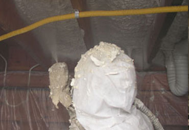 Homestead Crawl Space Insulation