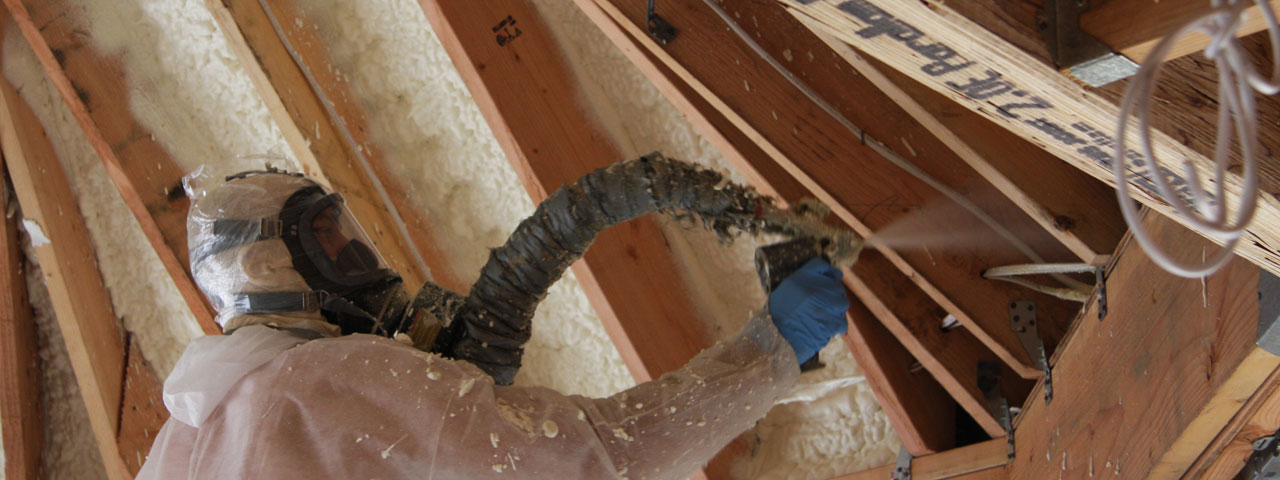 Homestead Florida Attic Insulation Spray Foam